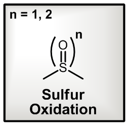 Sulfur Oxidation
